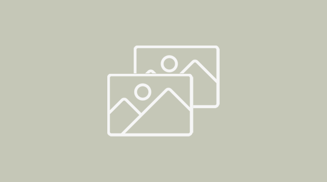platzhalter_bild